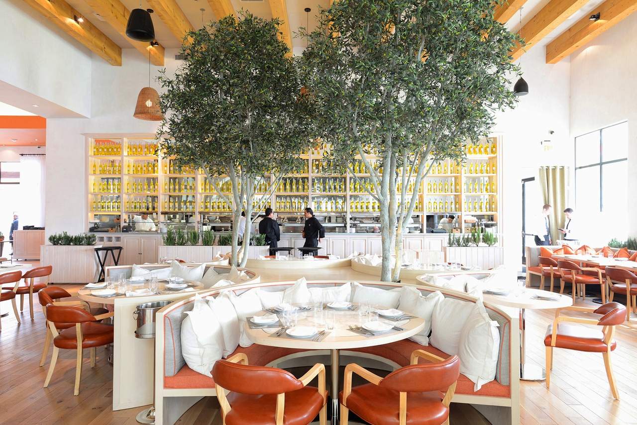 Fig and Olive Orchard Room