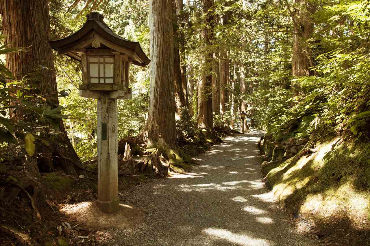 Part of the trail to the top of Mount Haguro