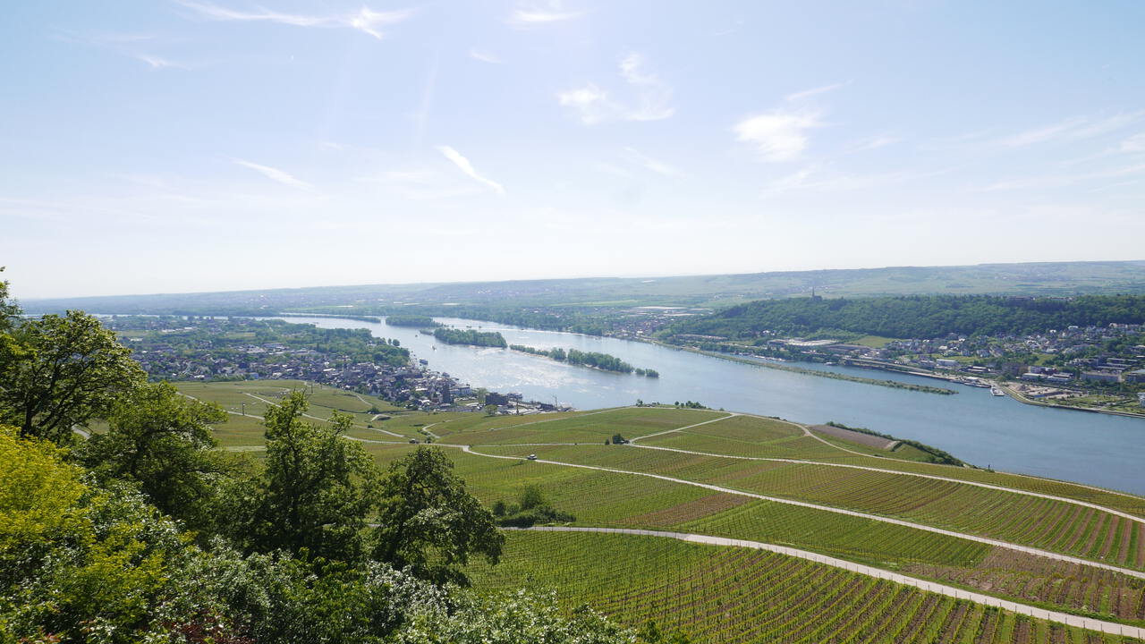 View from the Niederwald monument